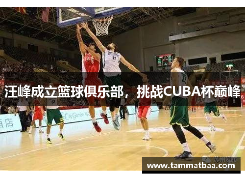 汪峰成立篮球俱乐部，挑战CUBA杯巅峰